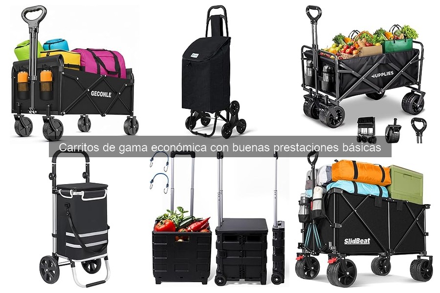 Errores comunes al usar carritos de gama económica