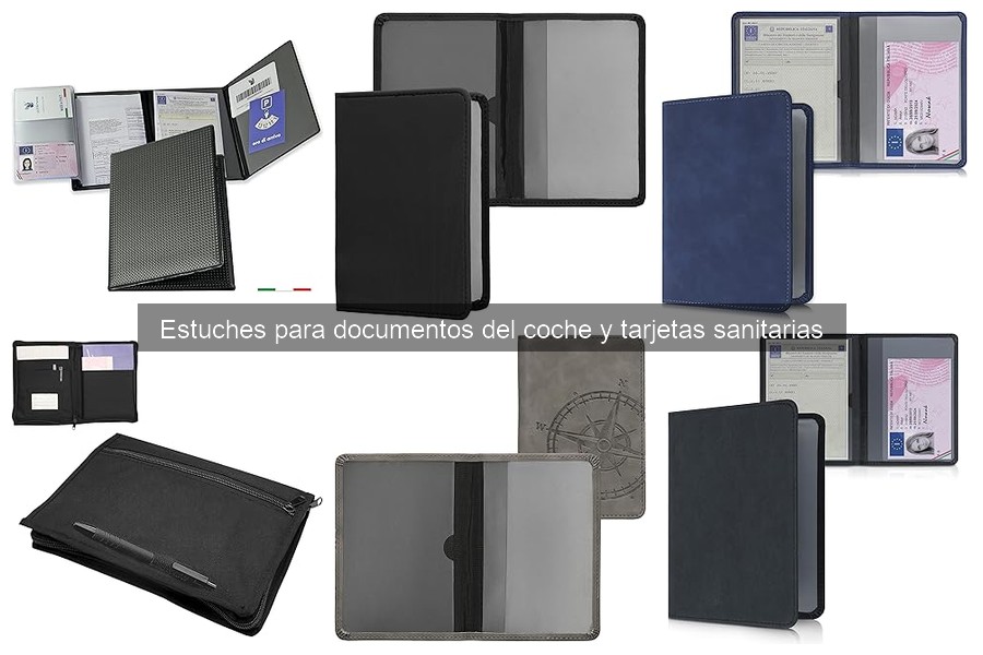 Mejores estuches para documentos del coche para familias con bebés